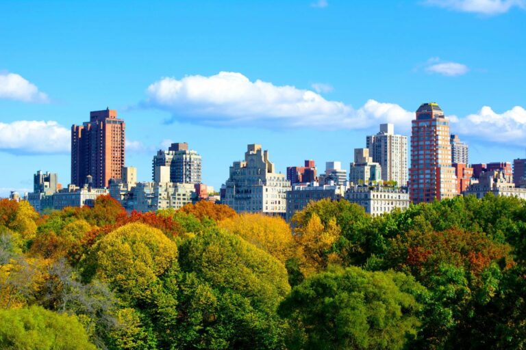 A vibrant view of Upper Manhattan skyline with modern buildings behind a colorful autumn forest under a clear blue sky.